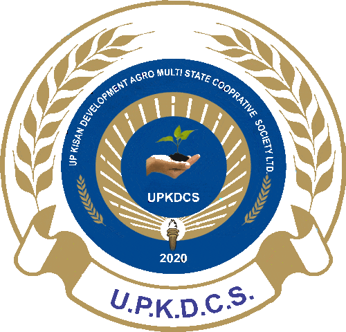 UPKDCS 2020